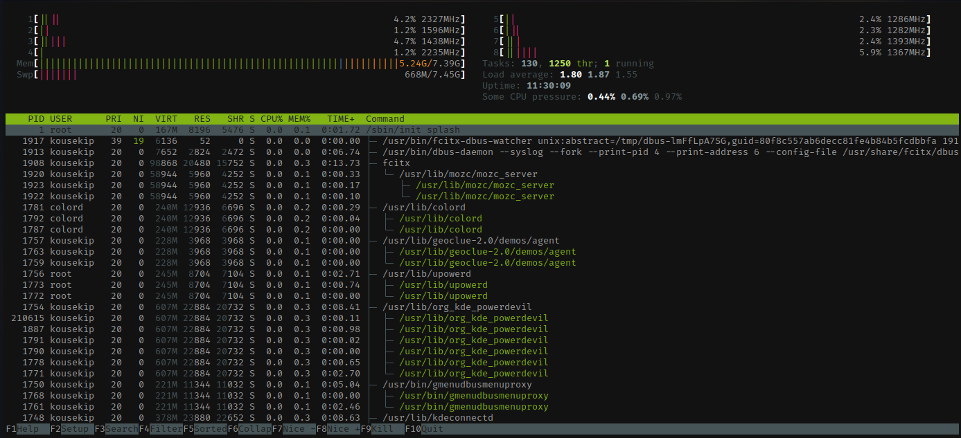 A screenshot of htop in a terminal, showing CPU and memory bars above a list of running processes