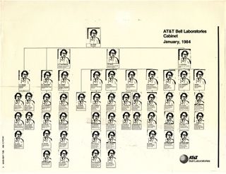 An AT&T Bell Laboratories cabinet organization chart from January 1984 with Peter Weinberger's photo pasted into every single box